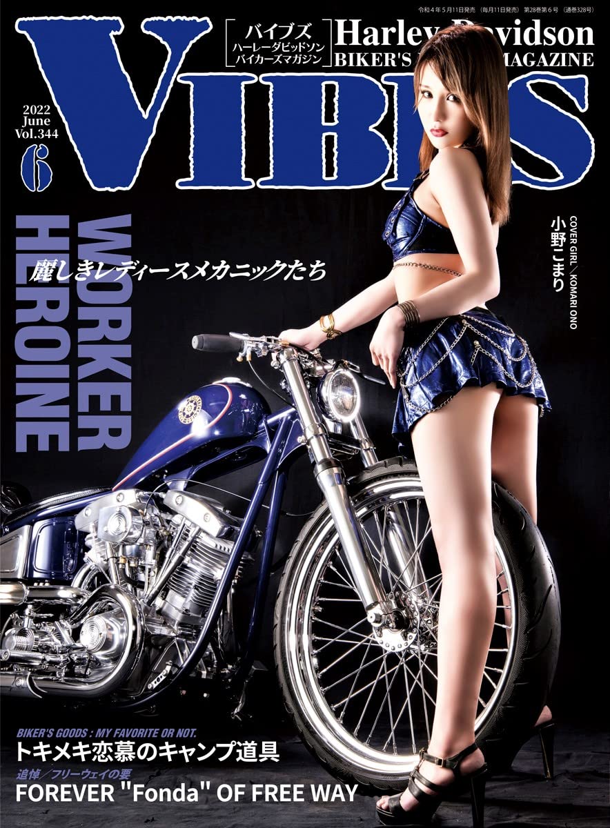 VIBES: volumeThreehundredfortyfour VIBEShenshubu (Japanese Edition)