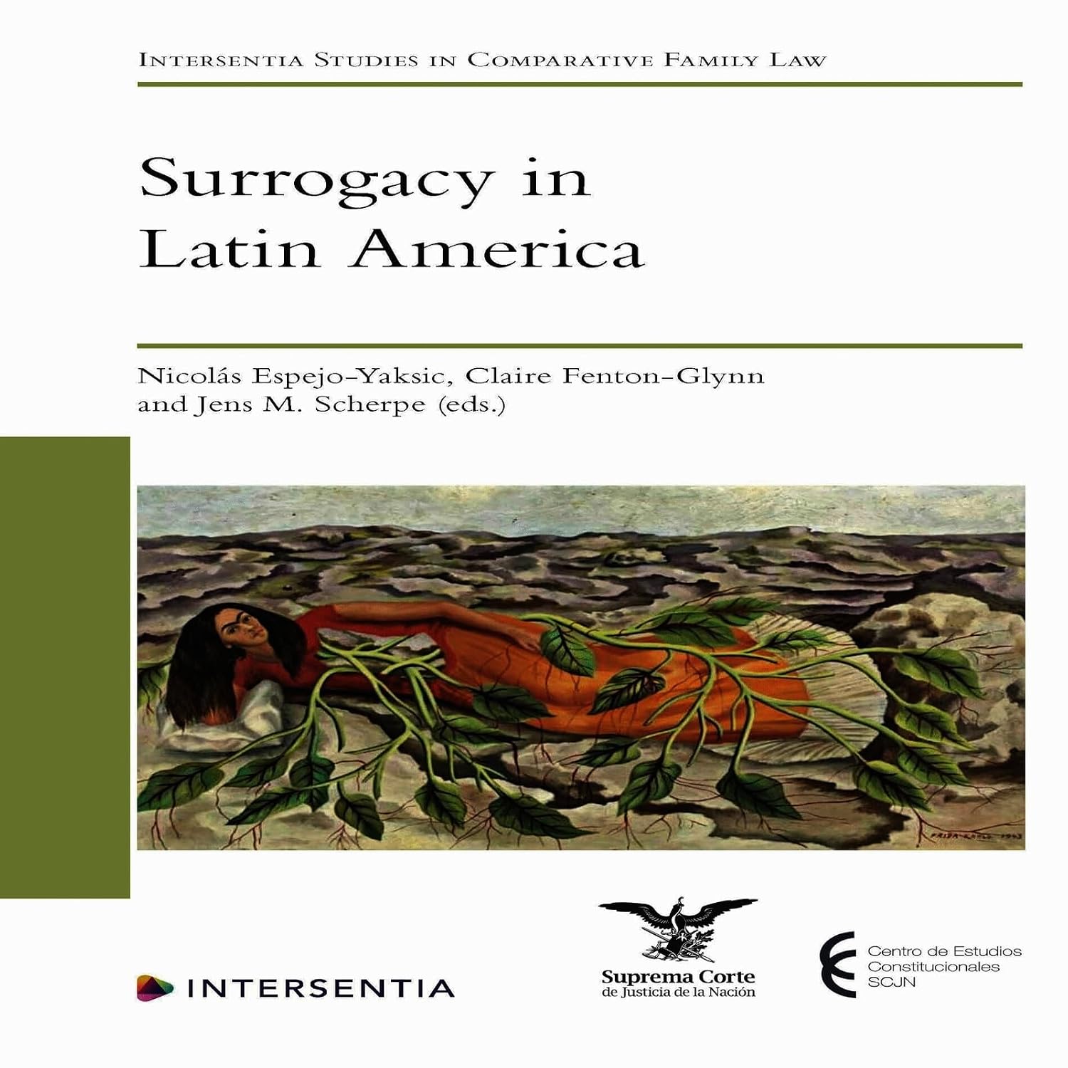 Surrogacy in Latin America (English Edition) baixar livro de graça