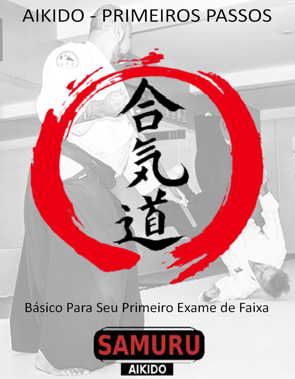 Aikido Primeiros Passos: Técnicas para 5° Kyu (1) baixar o livro de graça