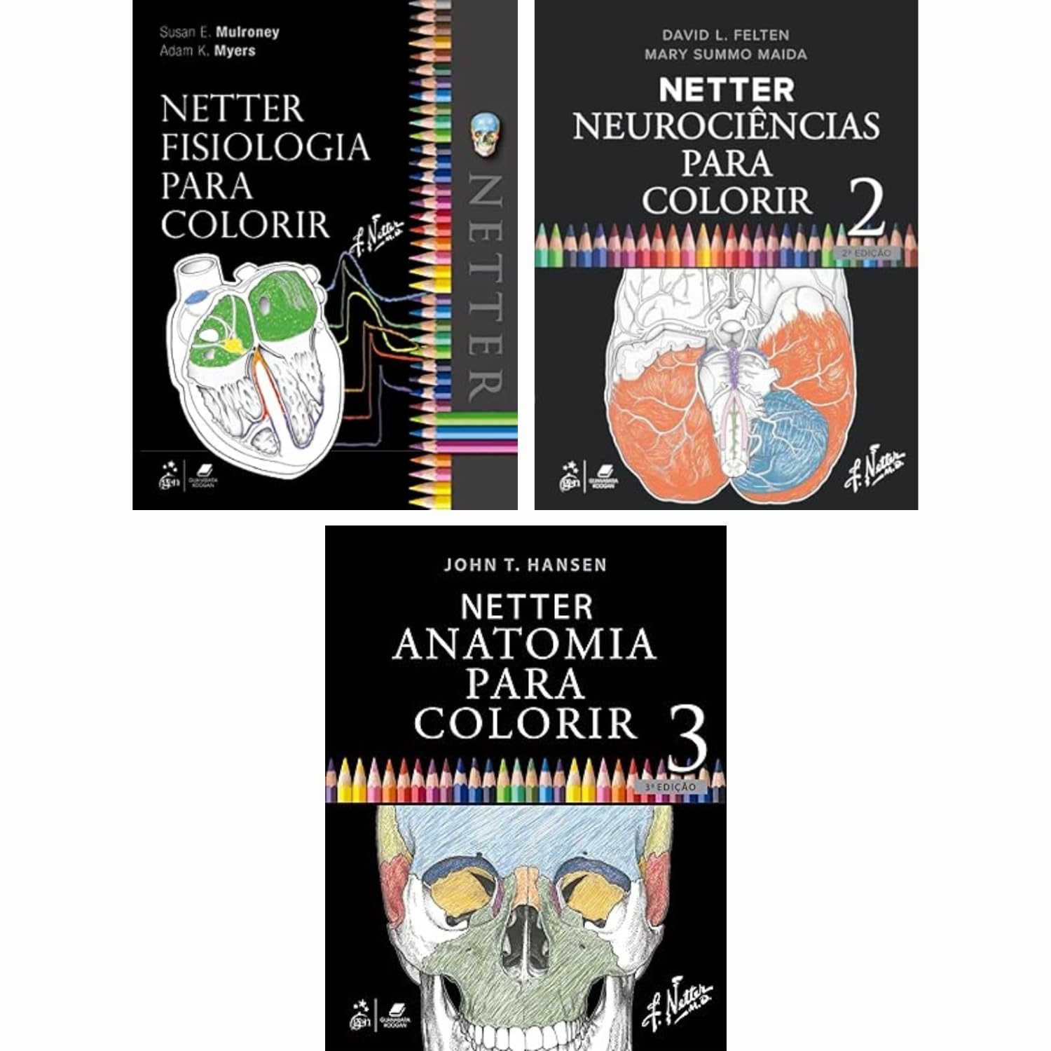 Combo Netter para colorir: Netter Anatomia Para Colorir + Netter Fisiologia para Colorir + Netter Neurociências Para Colorir baixar o livro de graça