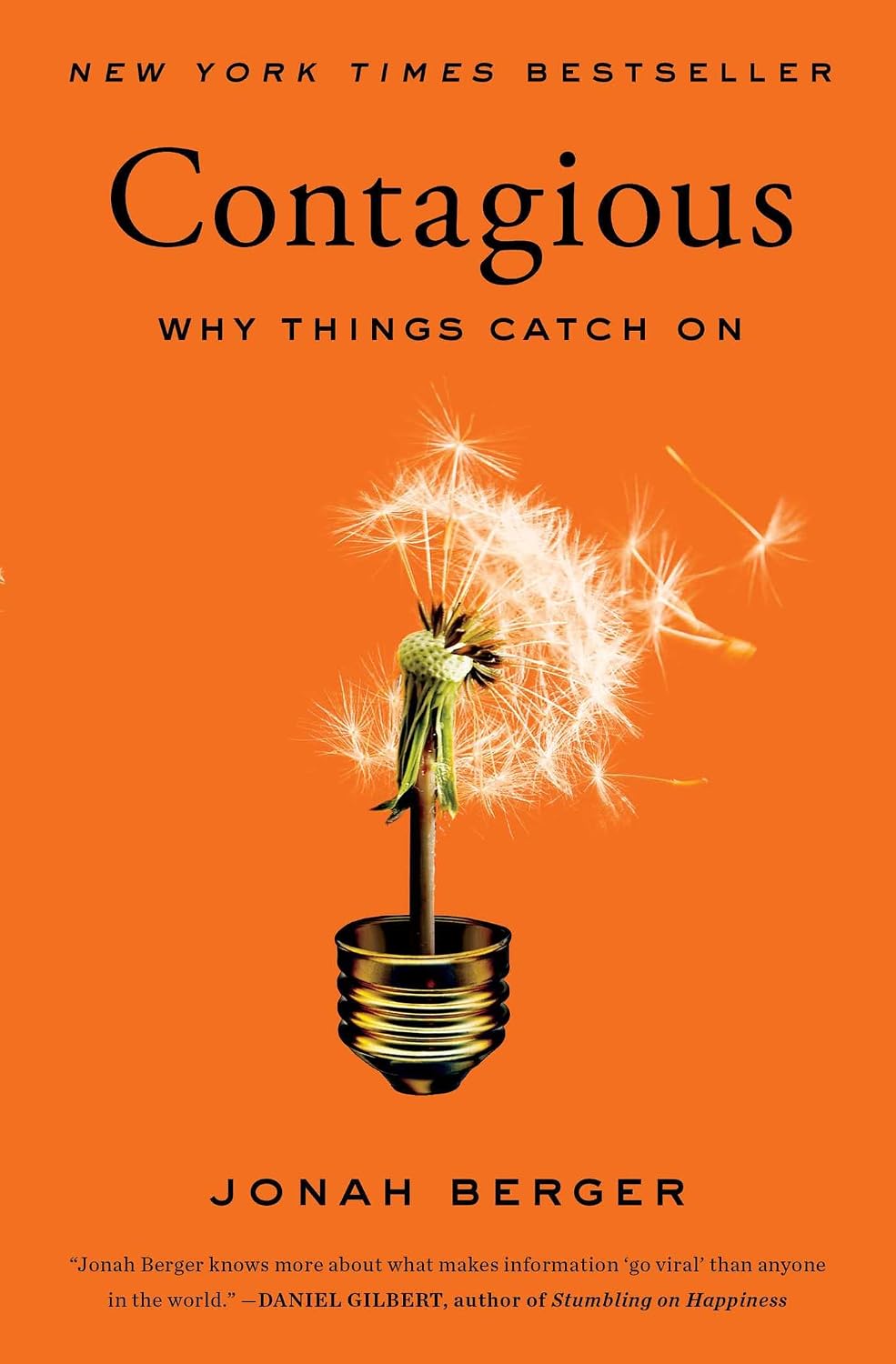 Contagious: Why Things Catch On (English Edition) baixar livro de graça