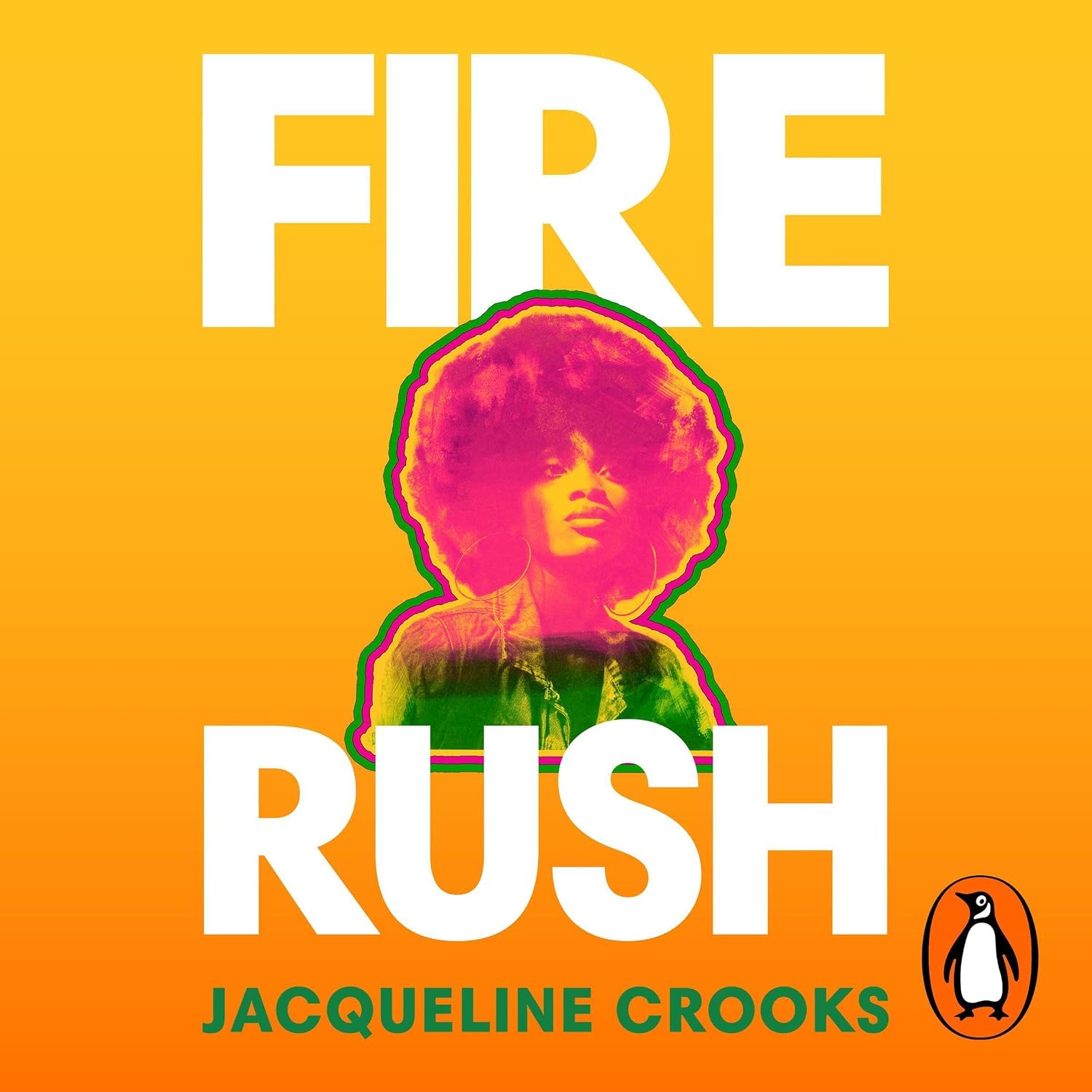 capítulo por capítulo baixar Fire Rush: SHORTLISTED FOR THE WOMEN’S PRIZE FOR FICTION
