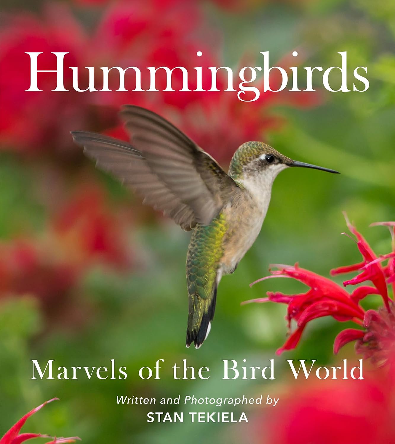 Hummingbirds: Marvels of the Bird World baixar livro de graça