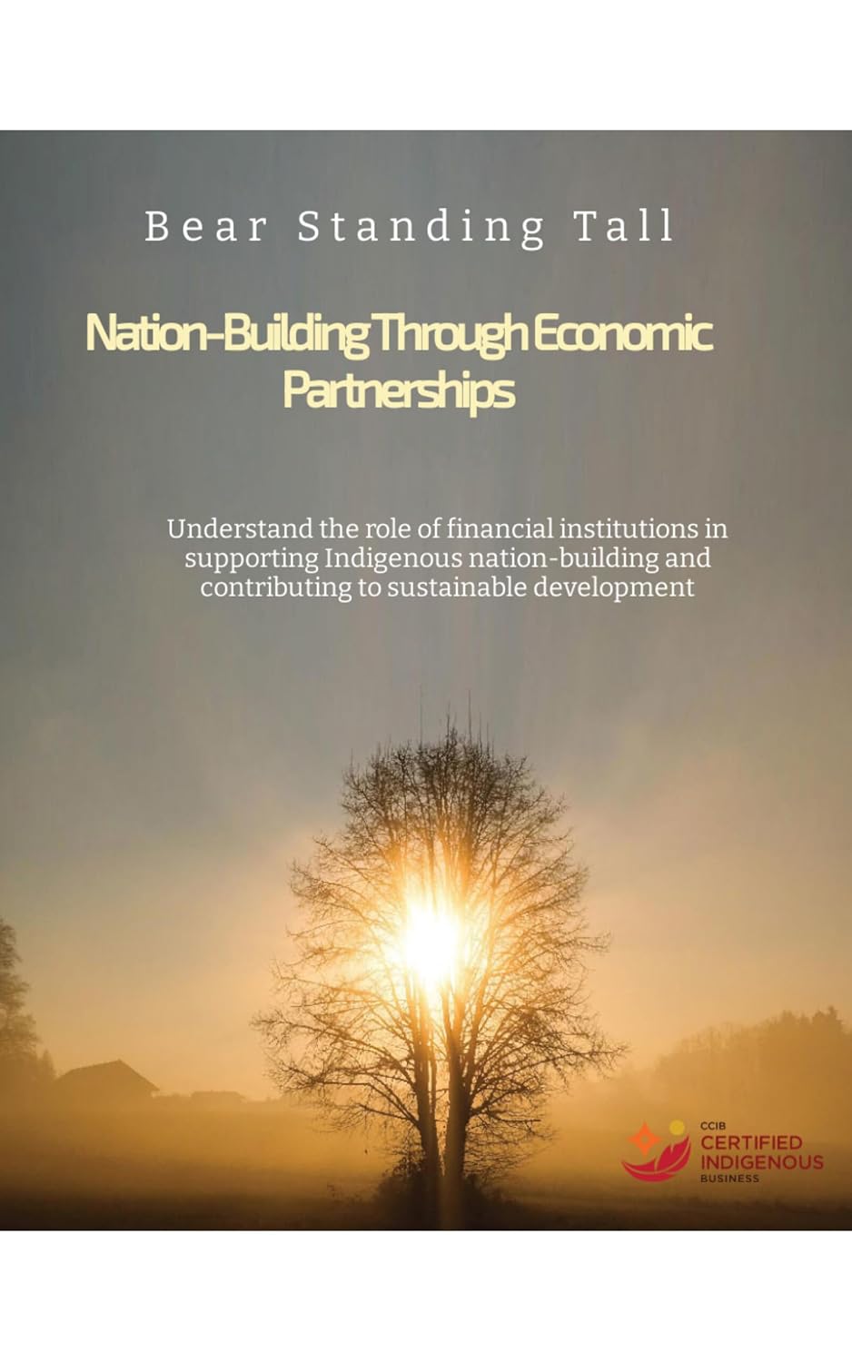 ler totalmente Nation-Building Through Economic Partnerships: Understand the role of financial institutions in supporting Indigenous nation-building and contributing... Indigenous Peoples Book 3) (English Edition)