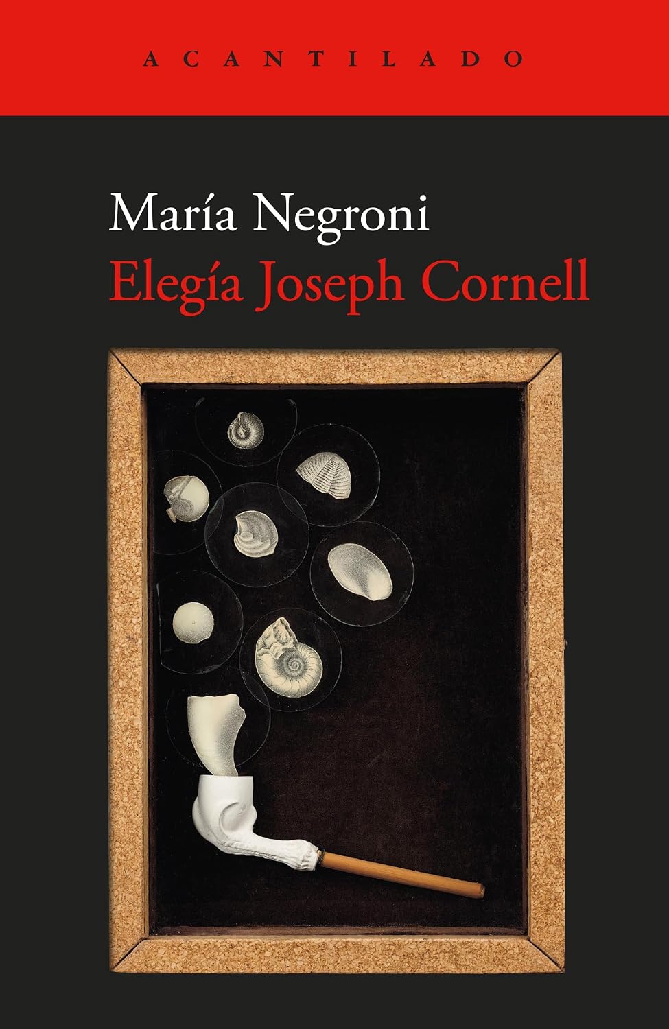 capítulo por capítulo baixar Elegía Joseph Cornell: 133