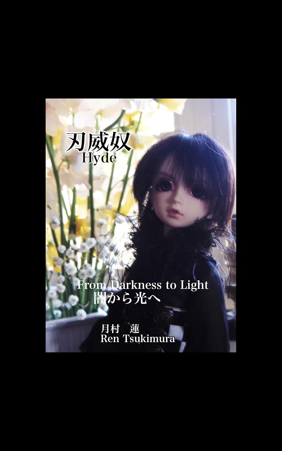 haido (Japanese Edition) baixar o livro de graça