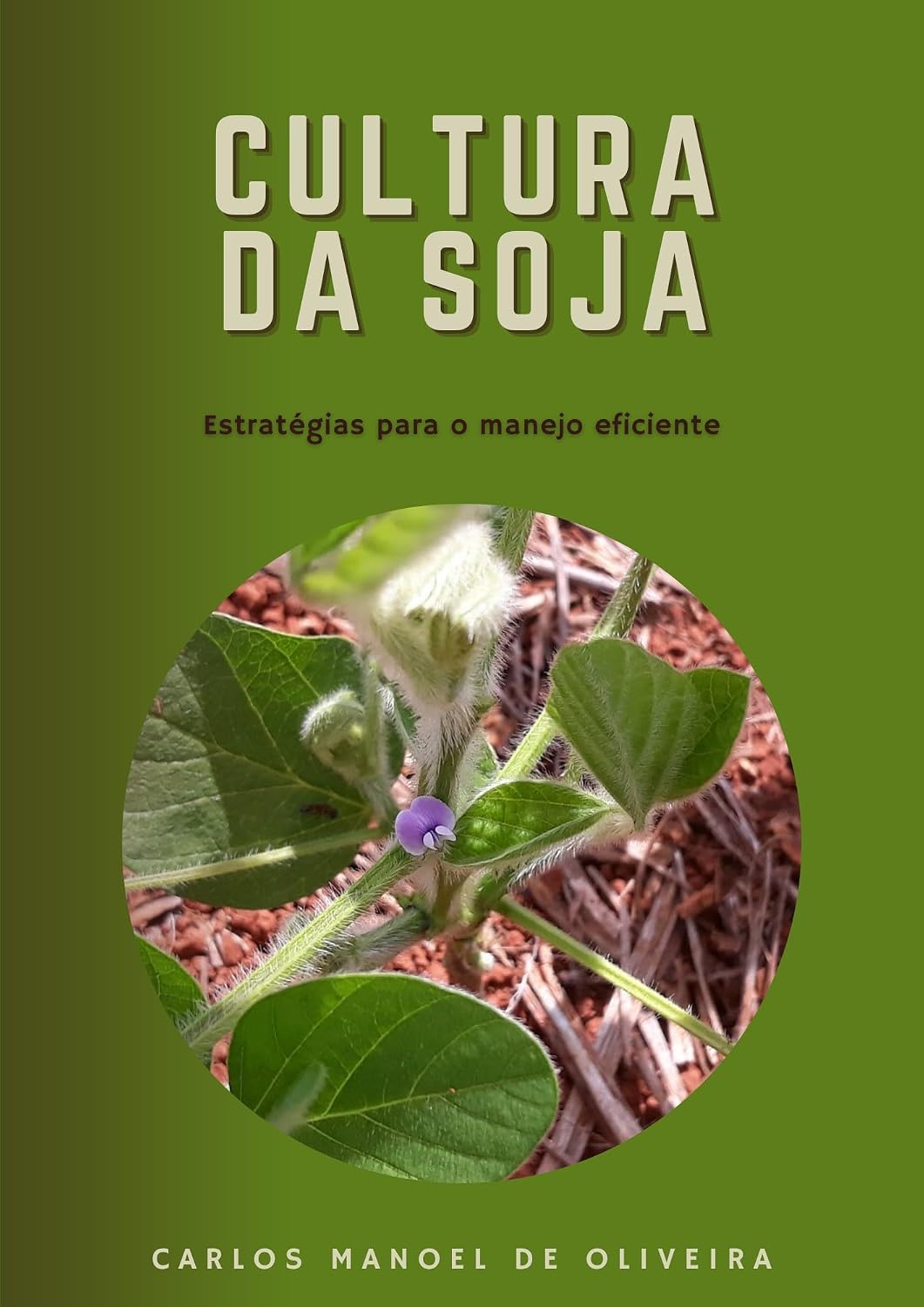 ler totalmente Cultura da soja:: Estratégias para o manejo eficiente