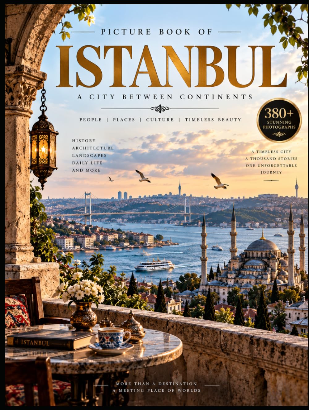 capítulo por capítulo baixar PICTURE BOOK OF ISTANBUL