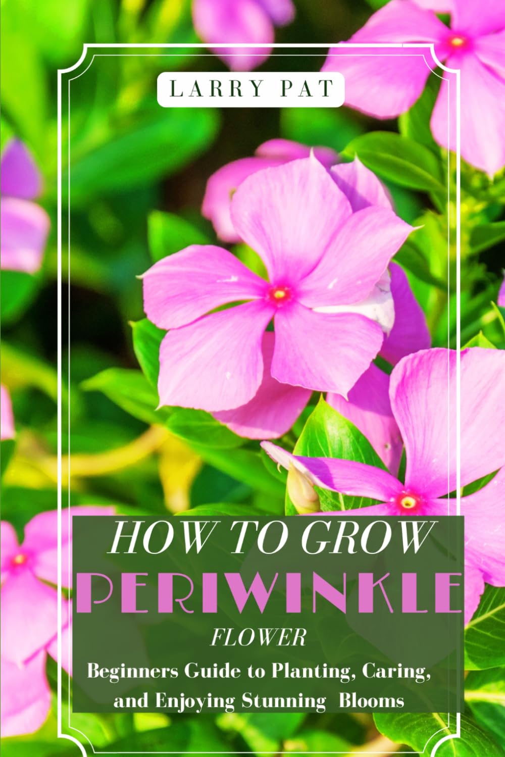 How to Grow Periwinkle Flowers: Beginners Guide to Planting, Caring, and Enjoying Stunning Blooms