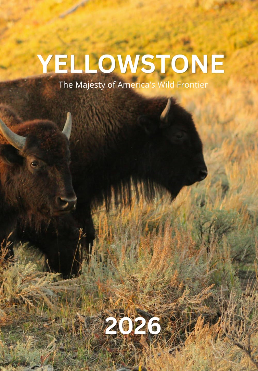 ler totalmente YELLOWSTONE 2026: The Majesty of America's Wild Frontier