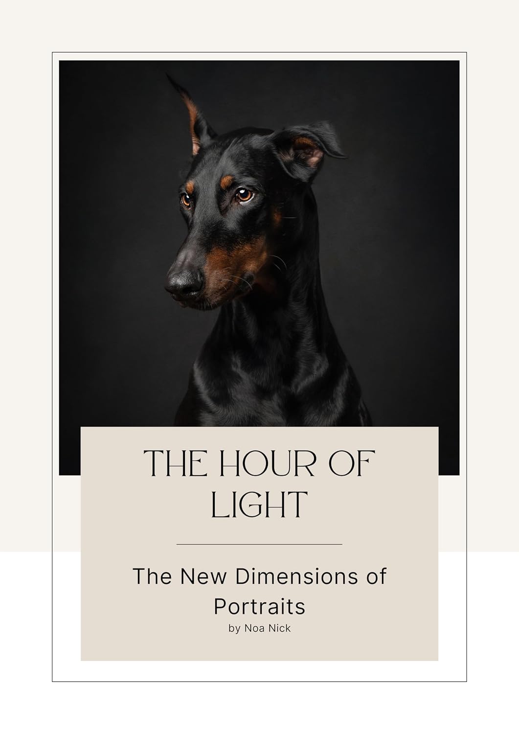 ler totalmente The Hour of Light: The New Dimensions of Portraits (English Edition)