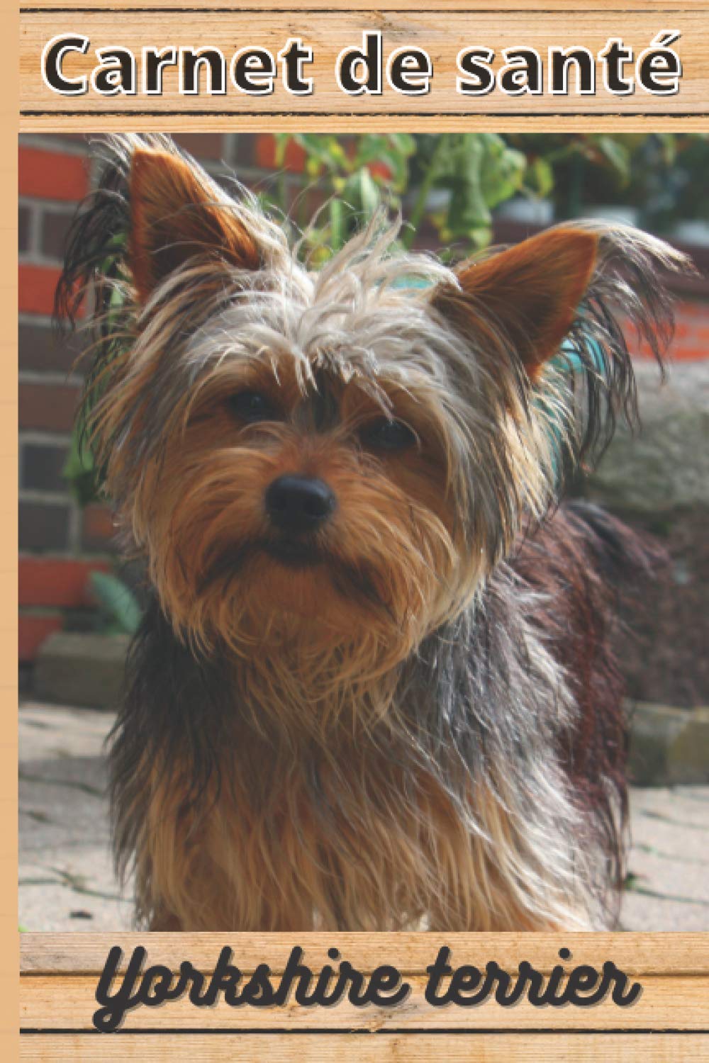 capítulo por capítulo baixar CARNET DE SANTE YORKSHIRE TERRIER: Mon cahier de suivi santé chien Yorkshire terrier à remplir ou compléter | Mon carnet de santé chien | cadeau... cm sur 22,86 cm 101 pages (French Edition)