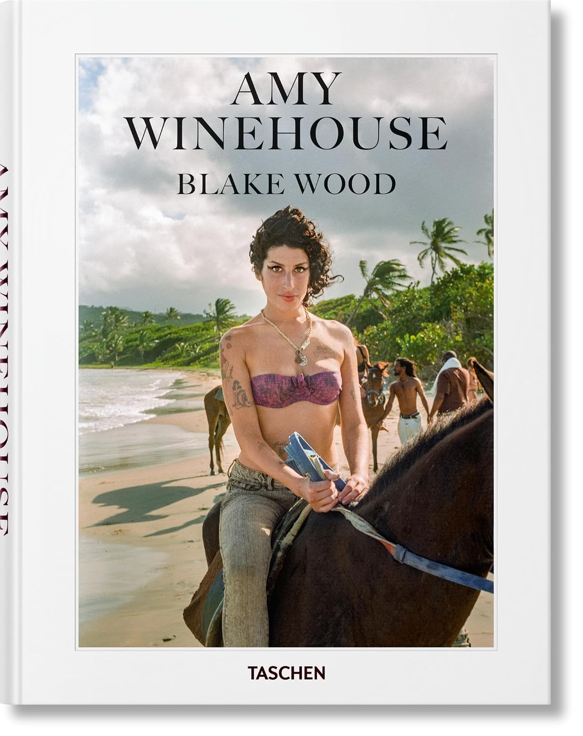 Amy winehouse - blake wood baixar livro de graça