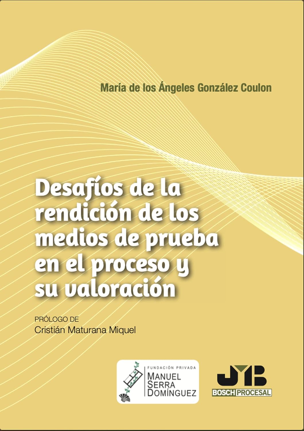 capítulo por capítulo baixar Desafíos de la rendición de los medios de prueba en el proceso y su valoración (Spanish Edition)