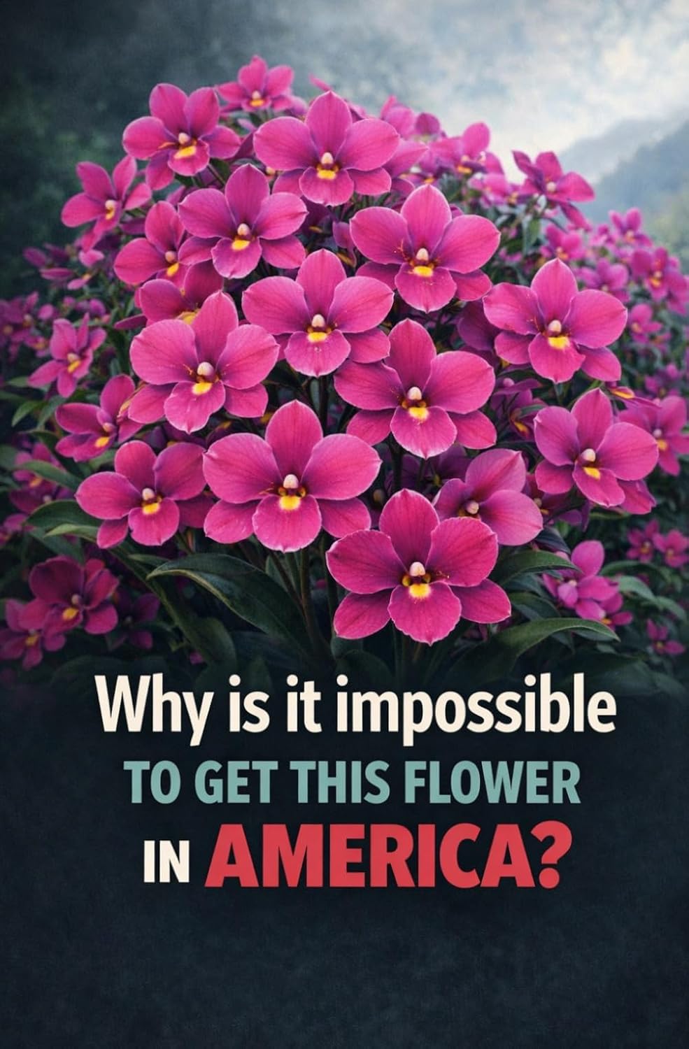 capítulo por capítulo baixar Why is it impossible to get this flower in America?