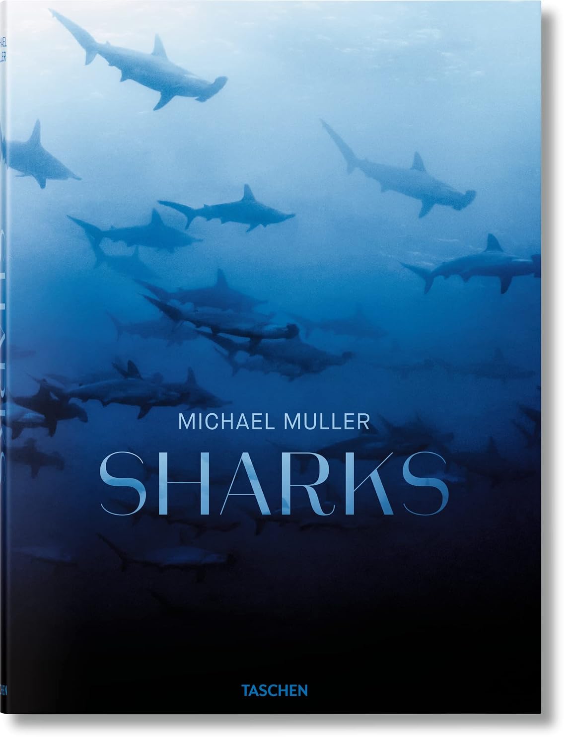 Michael Muller. sharks baixar livro de graça
