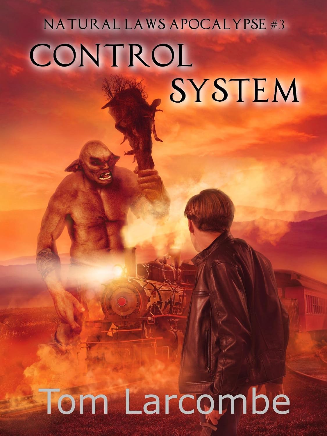 Control System (Natural Laws Apocalypse Book 3) (English Edition) baixar livro de graça
