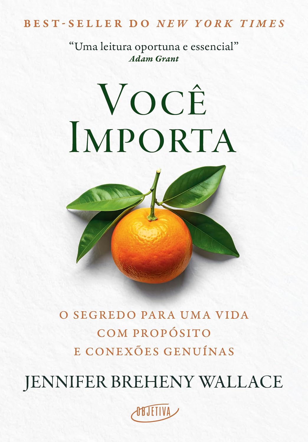 Você importa: O segredo para uma vida com propósito e conexões genuínas