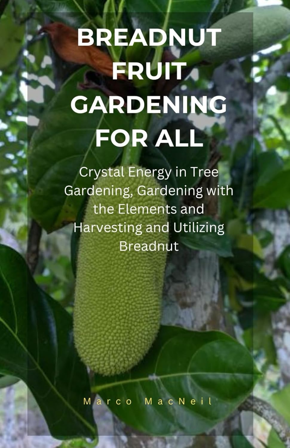 BREADNUT FRUIT GARDENING FOR ALL: Crystal Energy in Tree Gardening, Gardening with the Elements and Harvesting and Utilizing Breadnut baixar o livro de graça