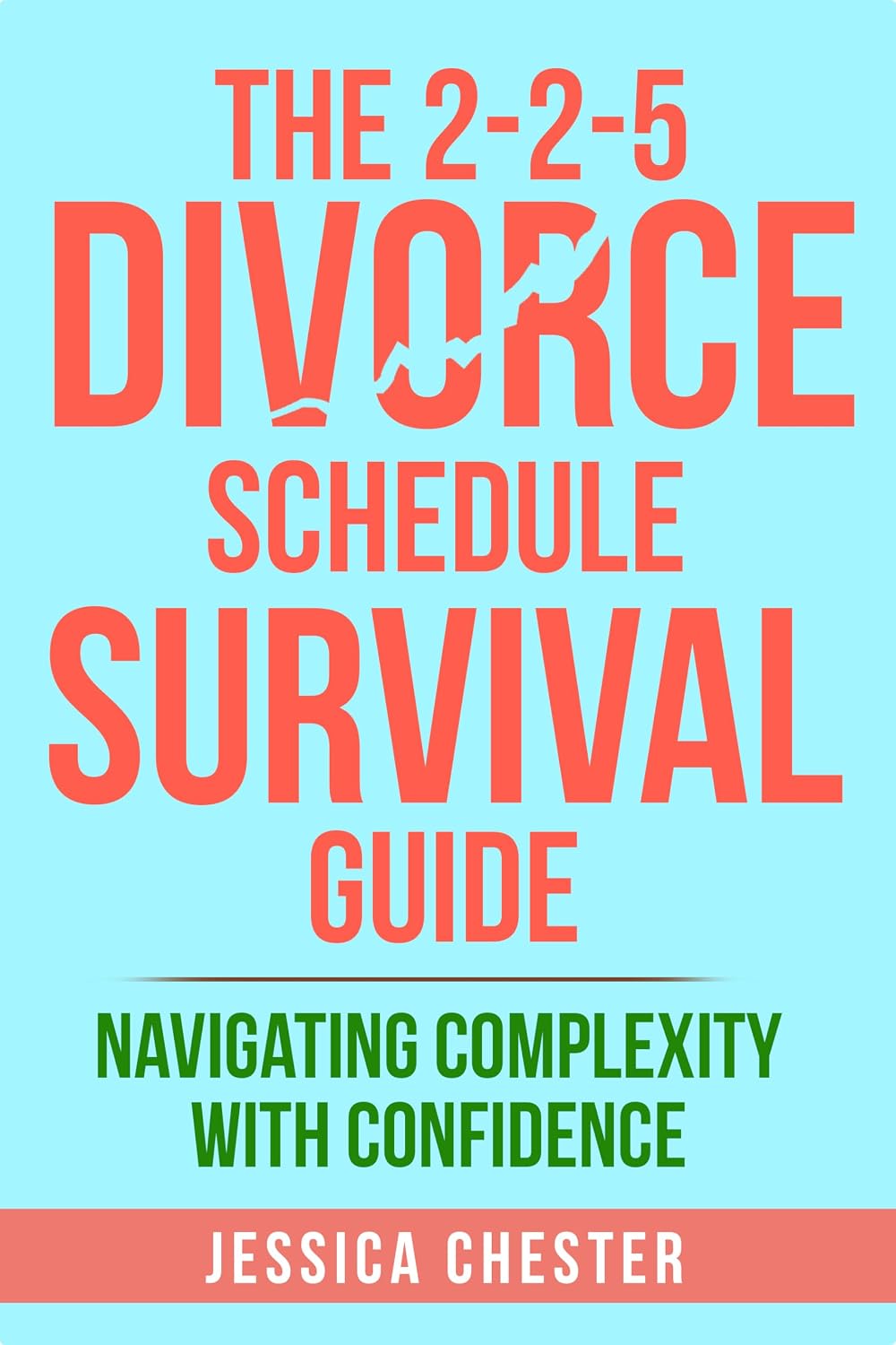 ler totalmente The 2-2-5 Divorce Schedule Survival Guide: Navigating Complexity With Confidence (English Edition)