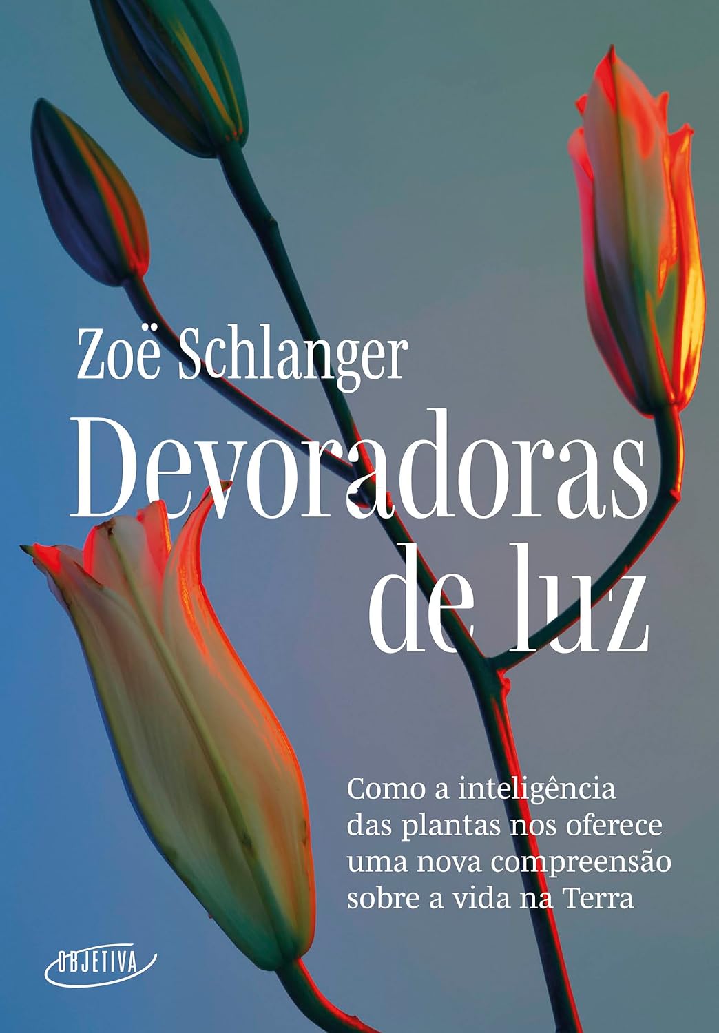 Devoradoras de luz: Como a inteligência das plantas nos oferece uma nova compreensão sobre a vida na Terra baixar livro de graça