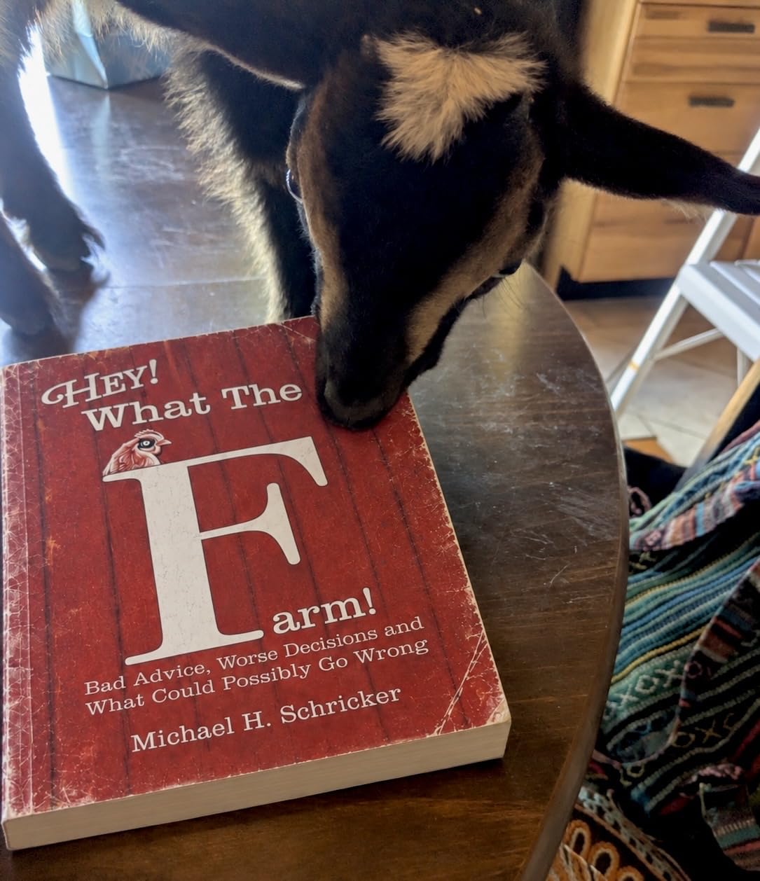 ler totalmente Hey! What the FARM!: A Love Story About Farm Life, Bad Advice, and What Could Possibly Go Wrong (English Edition)