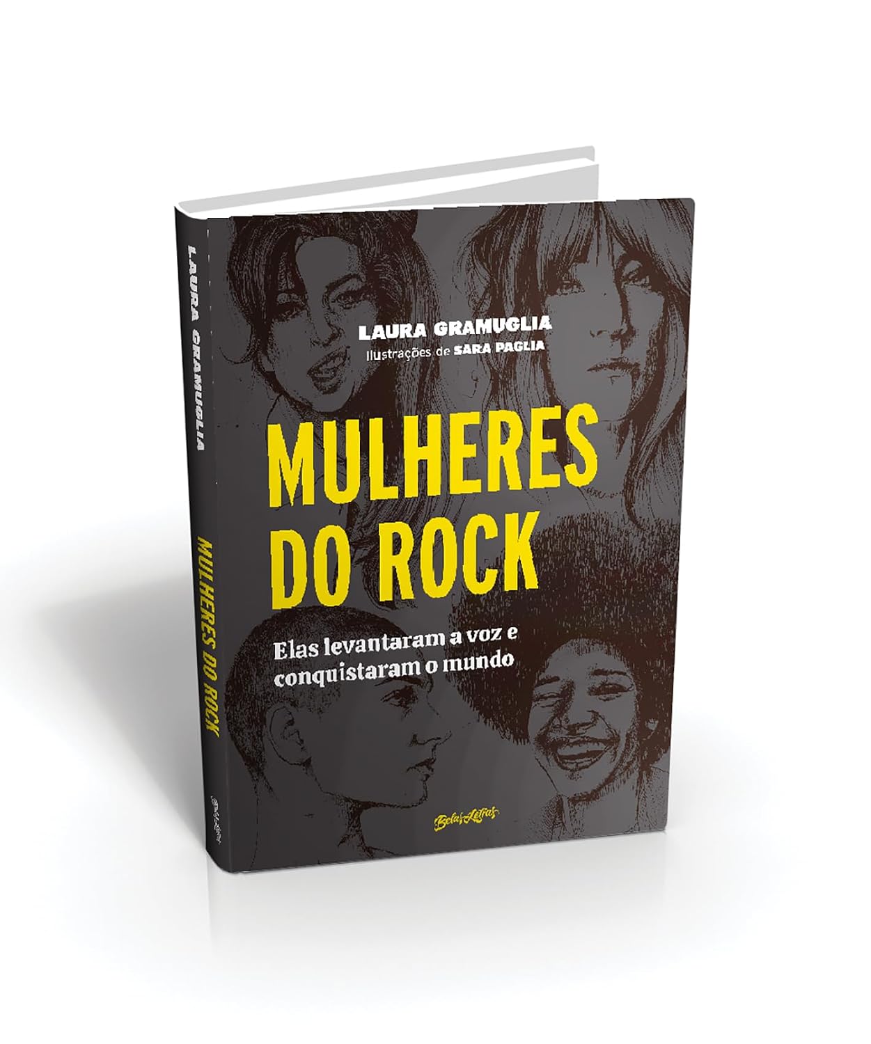 Mulheres do Rock: elas levantaram a voz e conquistaram o mundo baixar livro de graça