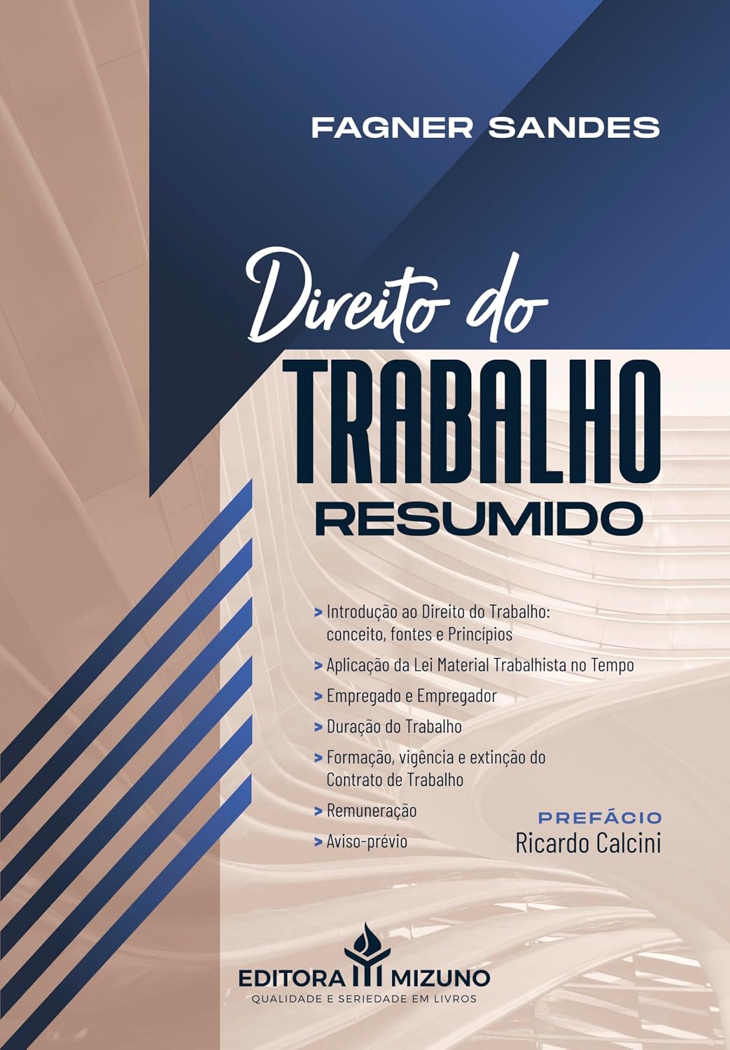 capítulo por capítulo baixar Direito do Trabalho Resumido
