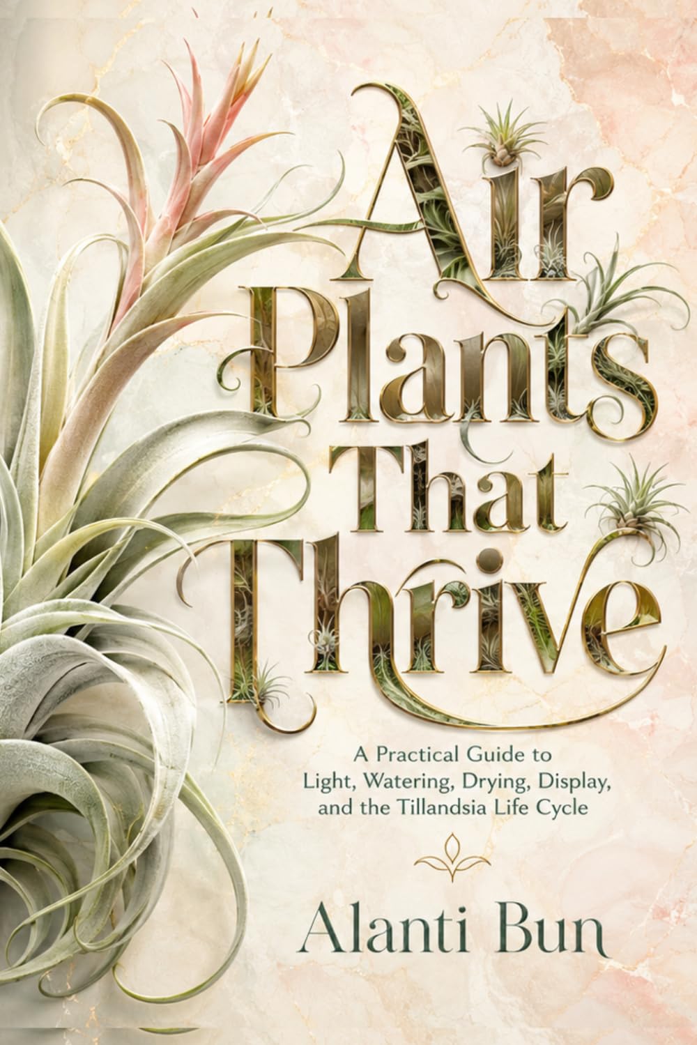 Air Plants That Thrive: A Practical Guide to Light, Watering, Drying, Display, and the Tillandsia Life Cycle baixar livro de graça