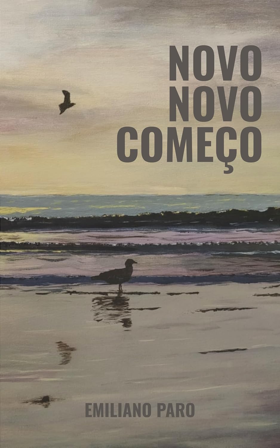 capítulo por capítulo baixar NOVO NOVO COMEÇO