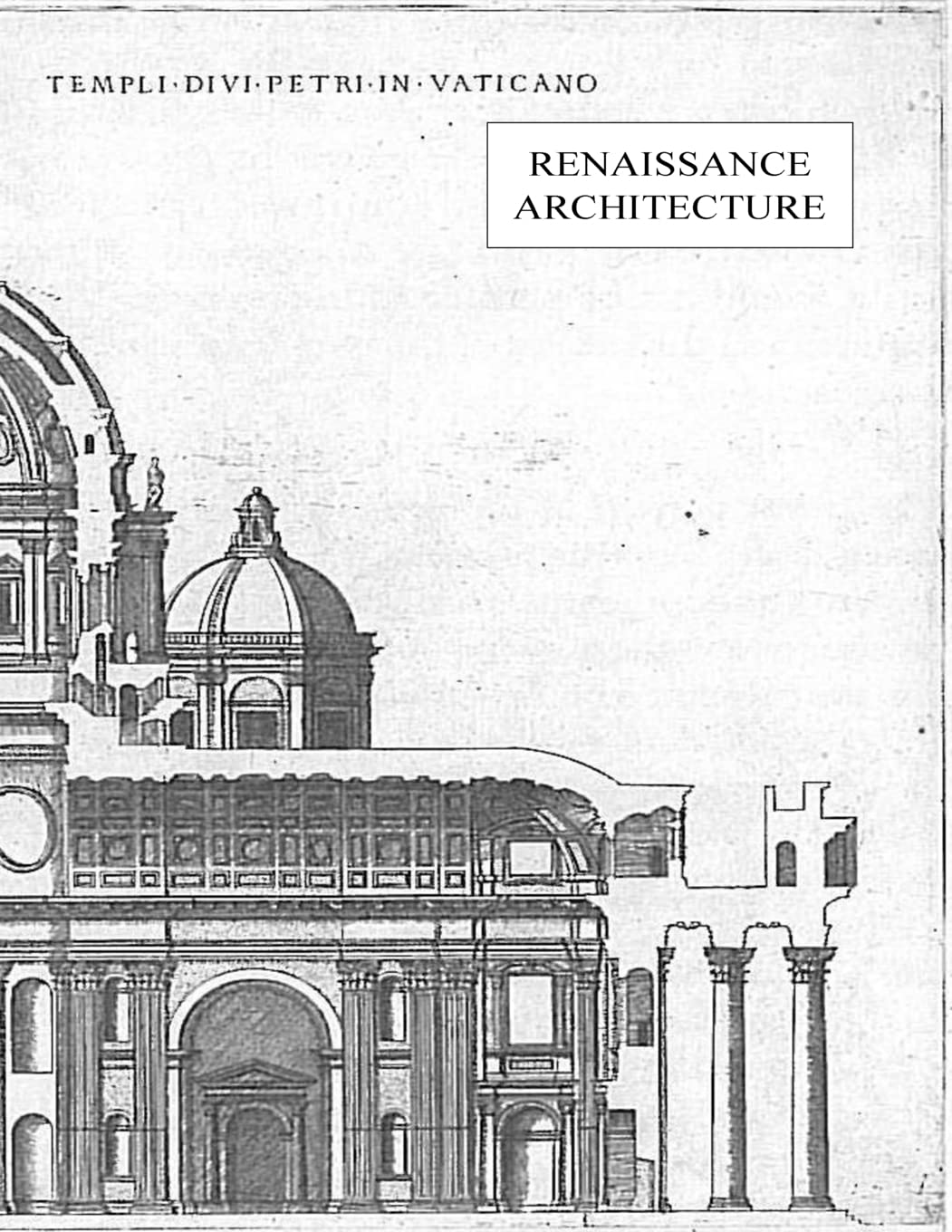 ler totalmente Renaissance Architecture: 2