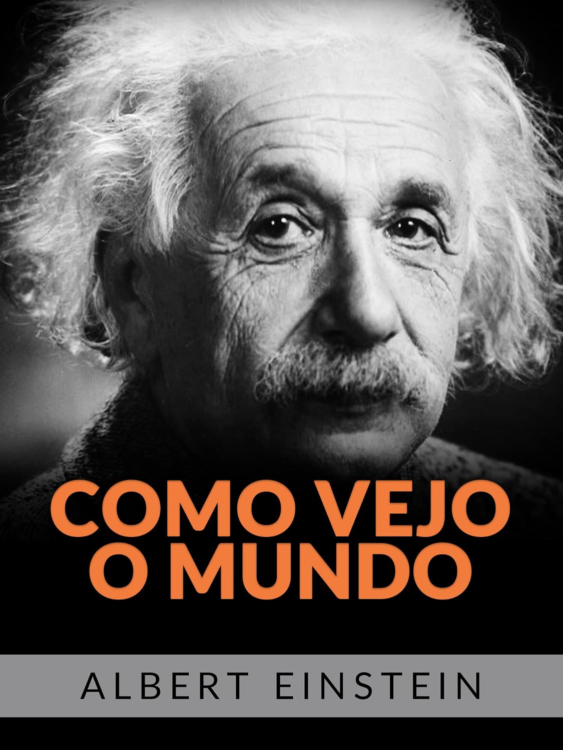 capítulo por capítulo baixar Como vejo o mundo (Traduzido)