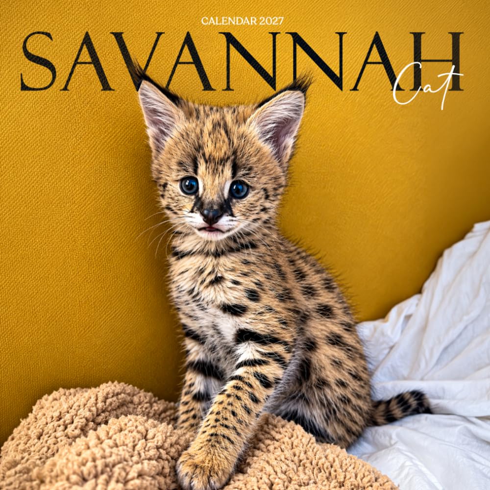 Savannah Cat Calendar 2027: Savannah Cats and Feline Portraits