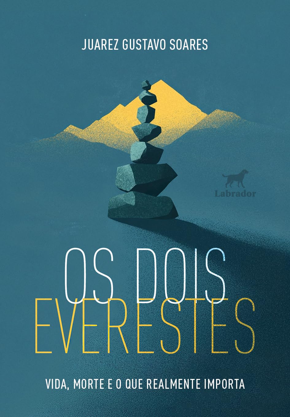Os dois everestes: vida, morte e o que realmente importa baixar o livro de graça