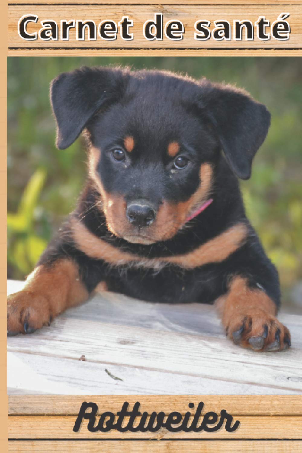 CARNET DE SANTE ROTTWEILER: Mon cahier de suivi santé chien rottweiler à remplir ou compléter | Mon carnet santé chien | Journal de bord suivi santé... 15,24 cm sur 22,86 cm (French Edition) baixar o livro de graça