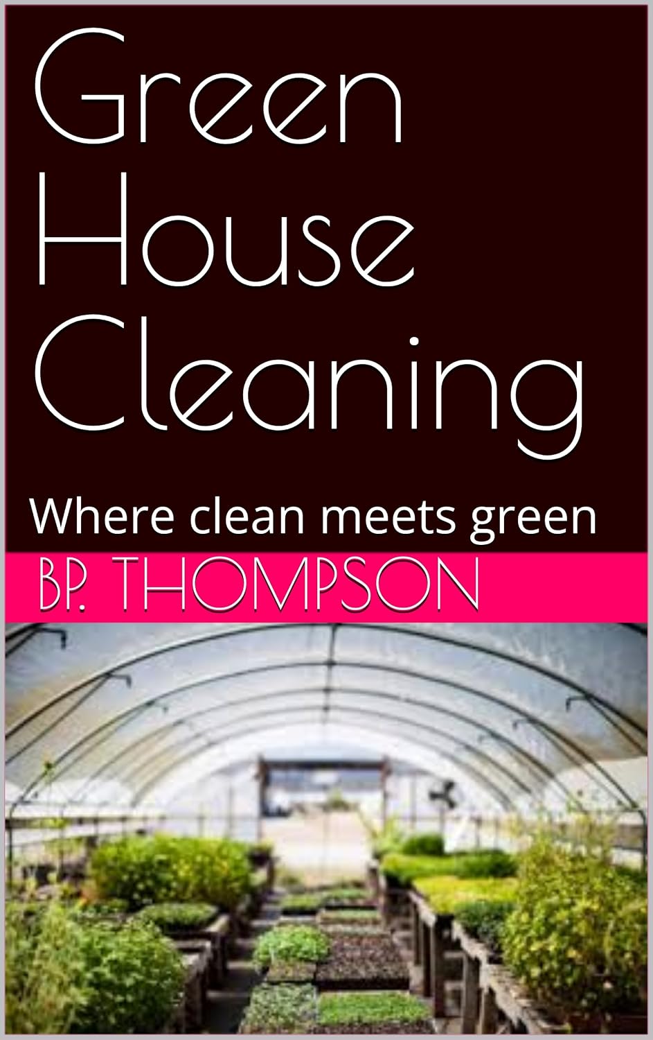 Green House Cleaning: Where clean meets green (English Edition) baixar livro de graça