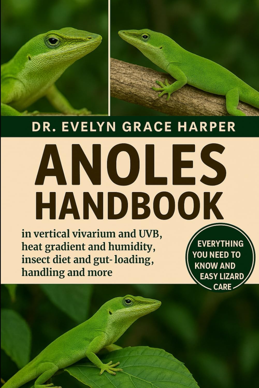 Anoles Handbook: Everything You Need To Know And Easy Lizard Care - vertical vivarium and UVB, heat gradient and humidity, insect diet and gut-loading, handling and more