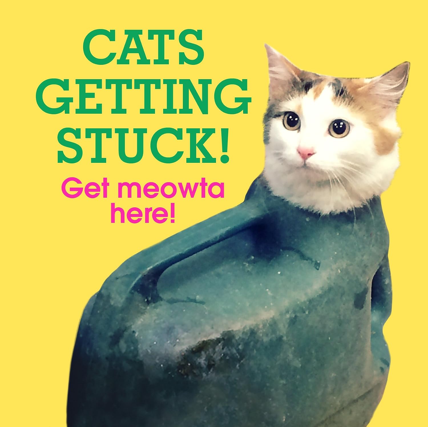 Cats Getting Stuck! (Gift) (English Edition) baixar livro de graça