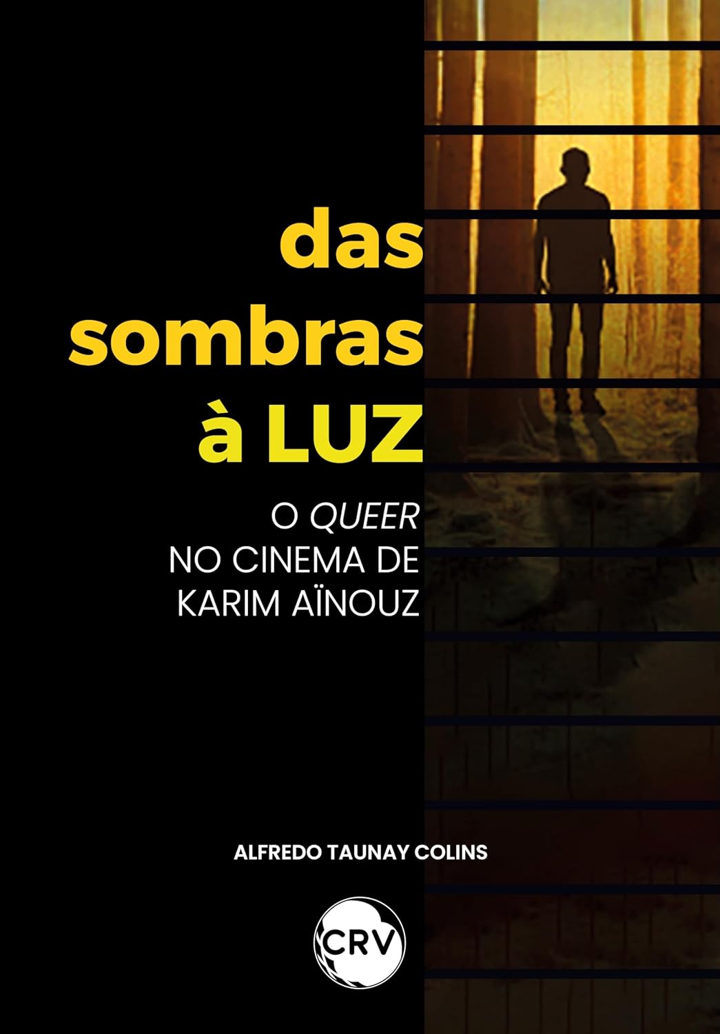 Das sombras à luz: O queer no cinema de Karim Aïnouz baixar livro de graça