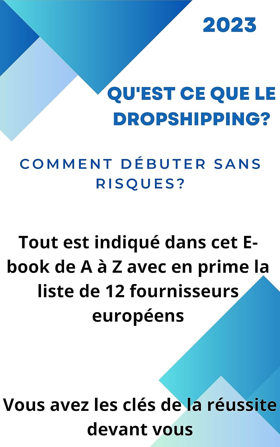 Bien débuter dans le dropshipping: Tout est dit de A à Z avec 12 fournisseurs européens offerts (French Edition) baixar livro de graça
