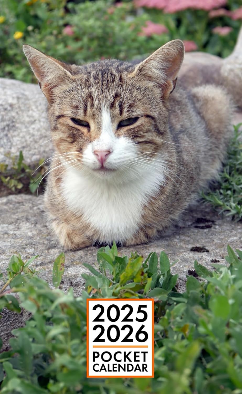 Pocket Calendar 2025-2026 for Purse - Tabby Cat v1 | 2 Year Pocket Planner January 2025 - December 2026 | Small Pocket Size 4 x 6.5 | Sketches of Cats in the Middle baixar o livro de graça