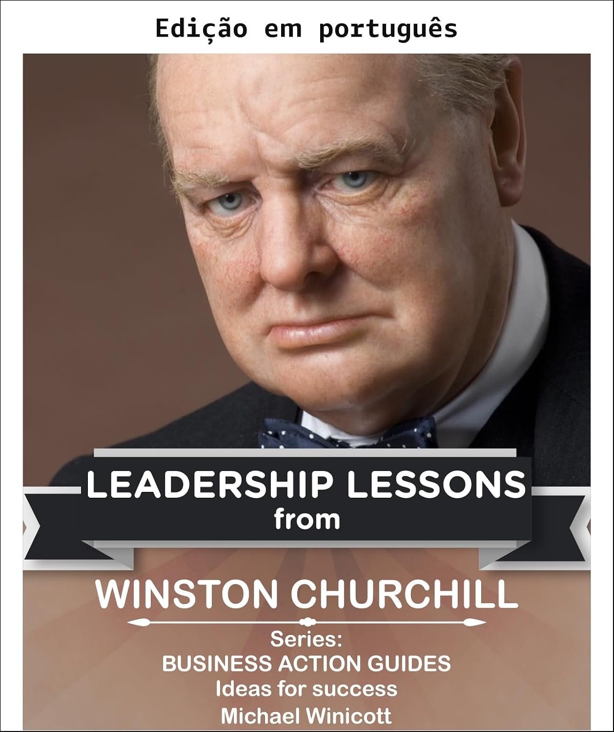 ler totalmente Winston Churchill: Lições de liderança (Lições de vida de grandes líderes)