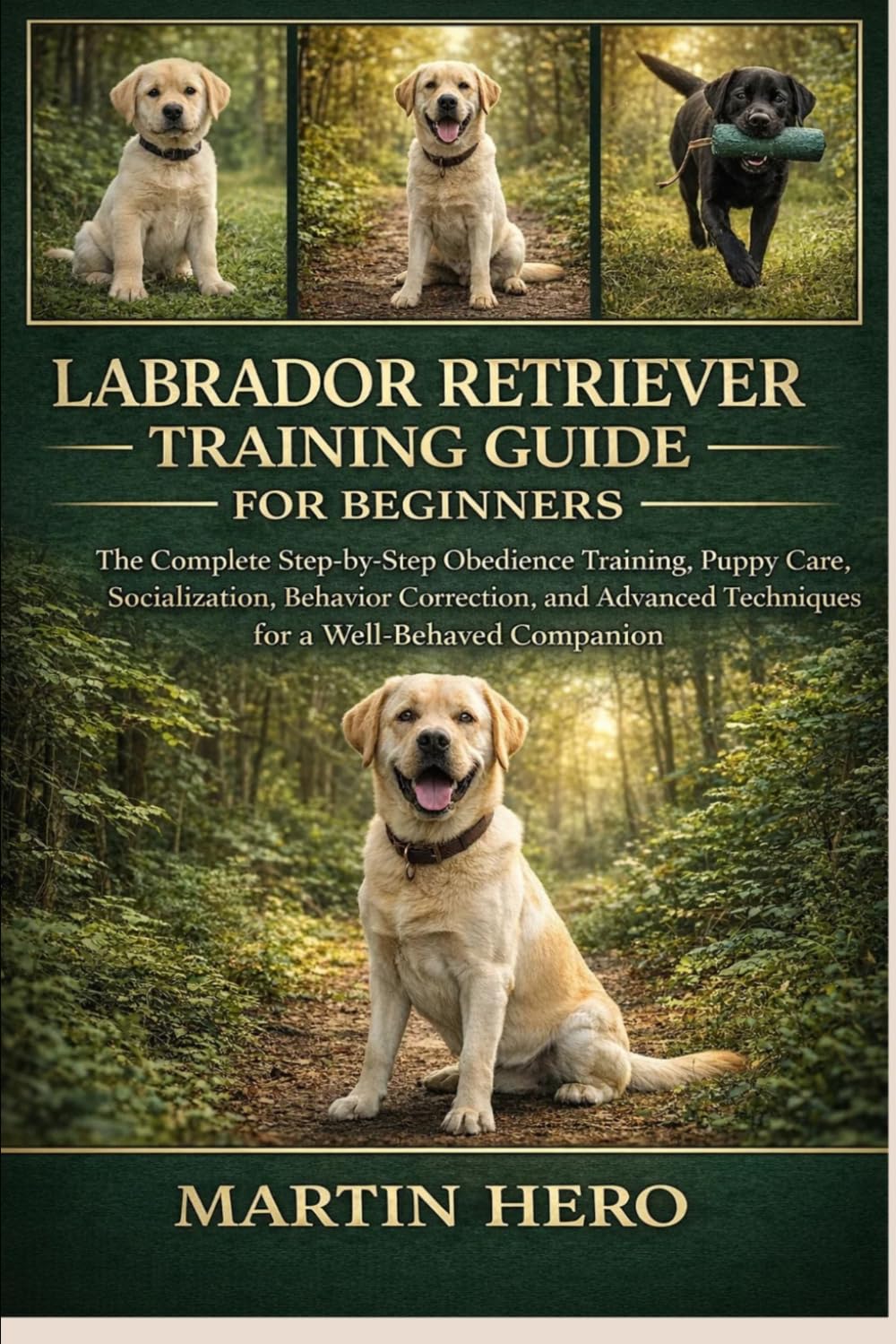 capítulo por capítulo baixar Labrador Retriever Training Guide for Beginners: The Complete Step-by-Step Obedience Training, Puppy Care, Socialization, Behavior Correction, and Advanced Techniques for a Well-Behaved Companion.