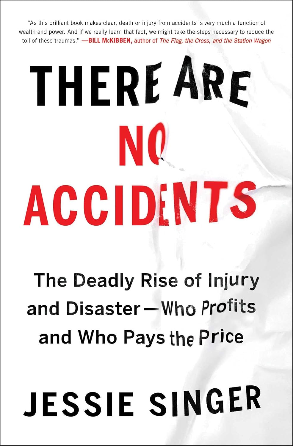 There Are No Accidents: The Deadly Rise of Injury and Disaster—Who Profits and Who Pays the Price (English Edition) baixar o livro de graça