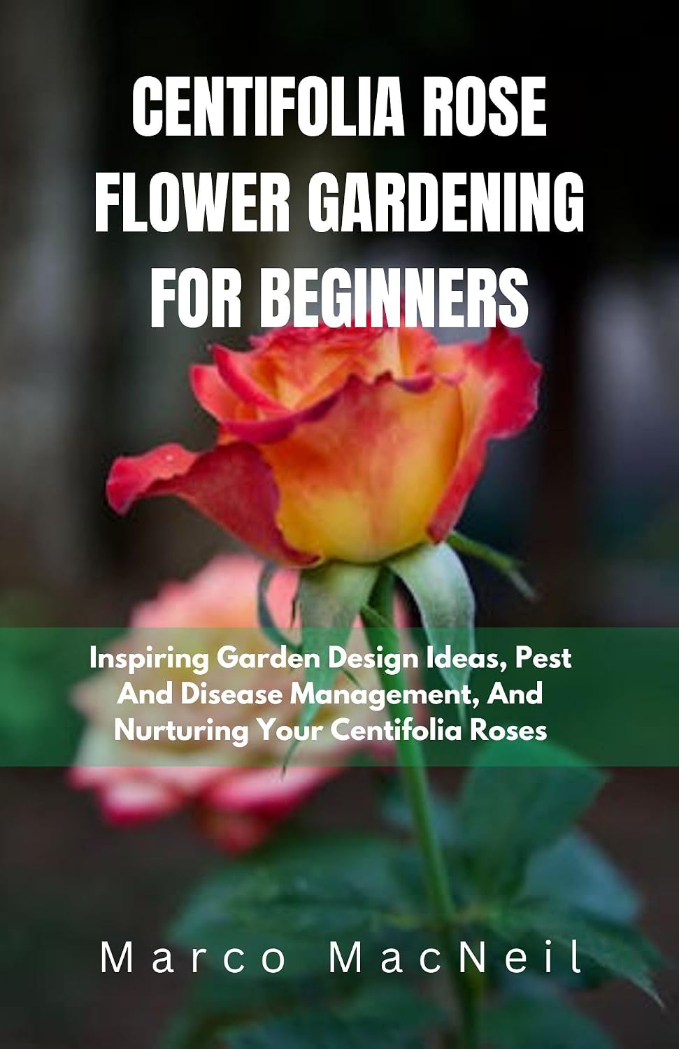 CENTIFOLIA ROSE FLOWER GARDENING FOR BEGINNERS: Inspiring Garden Design Ideas, Pest And Disease Management, And Nurturing Your Centifolia Roses (English Edition) baixar livro de graça