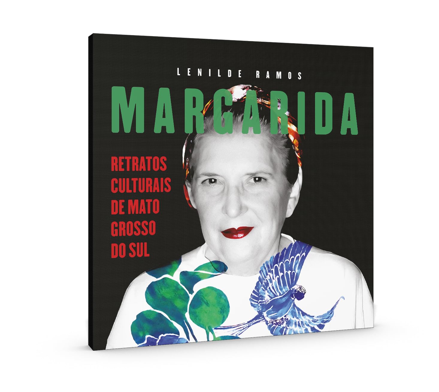 Margarida: Retratos Culturais de Mato Grosso do Sul baixar o livro de graça