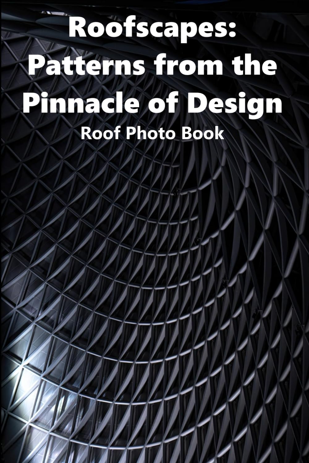 Roofscapes: Patterns from the Pinnacle of Design: Roof Photo Book