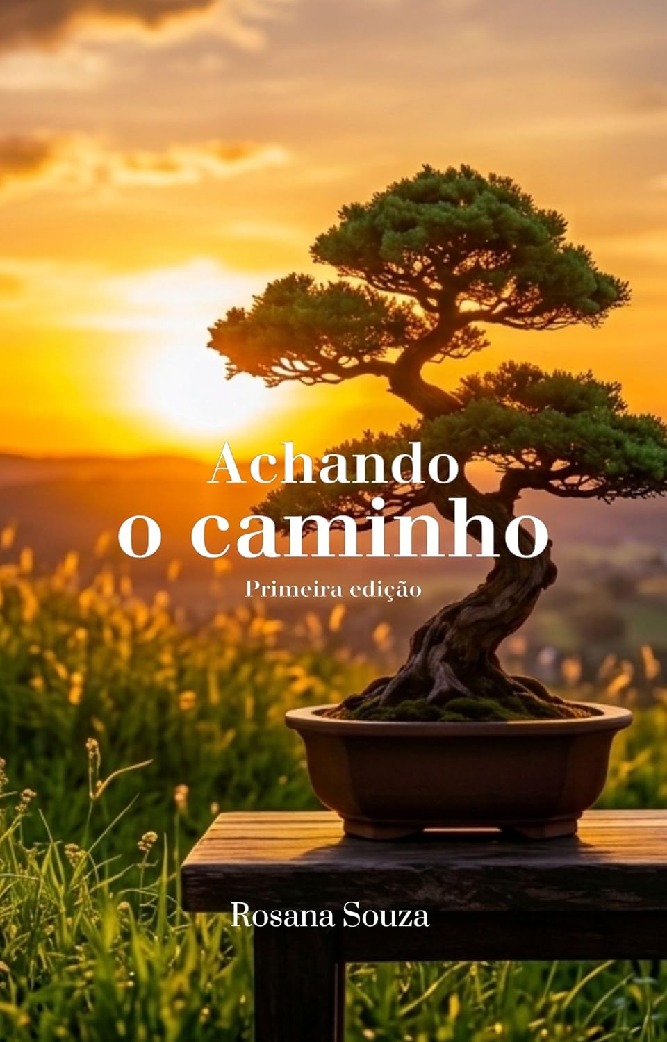 ler totalmente Achando o caminho: Primeira edição