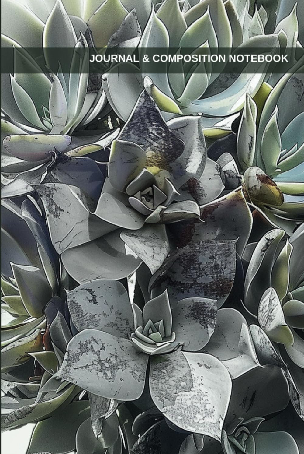 ler totalmente Journal & Composition Notebook: Blank Lined Notebook featuring Succulent Line Drawings, Hard Cover, Size 6 x 9, 120 Ruled White Pages, Echeveria Secunda on Cover