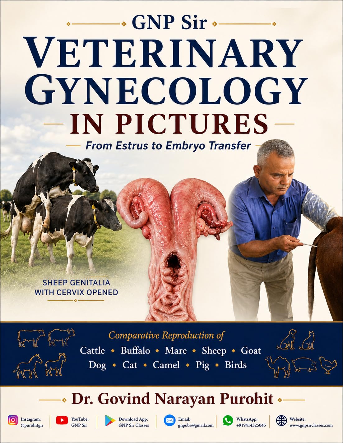 Veterinary Gynecology In Pictures: From Estrus To Embryo Transfer: An Illustrated Guide to Female Anatomy, Estrus, Fertility, Reproductive Physiology,... and Embryo Transfer (English Edition) baixar o livro de graça